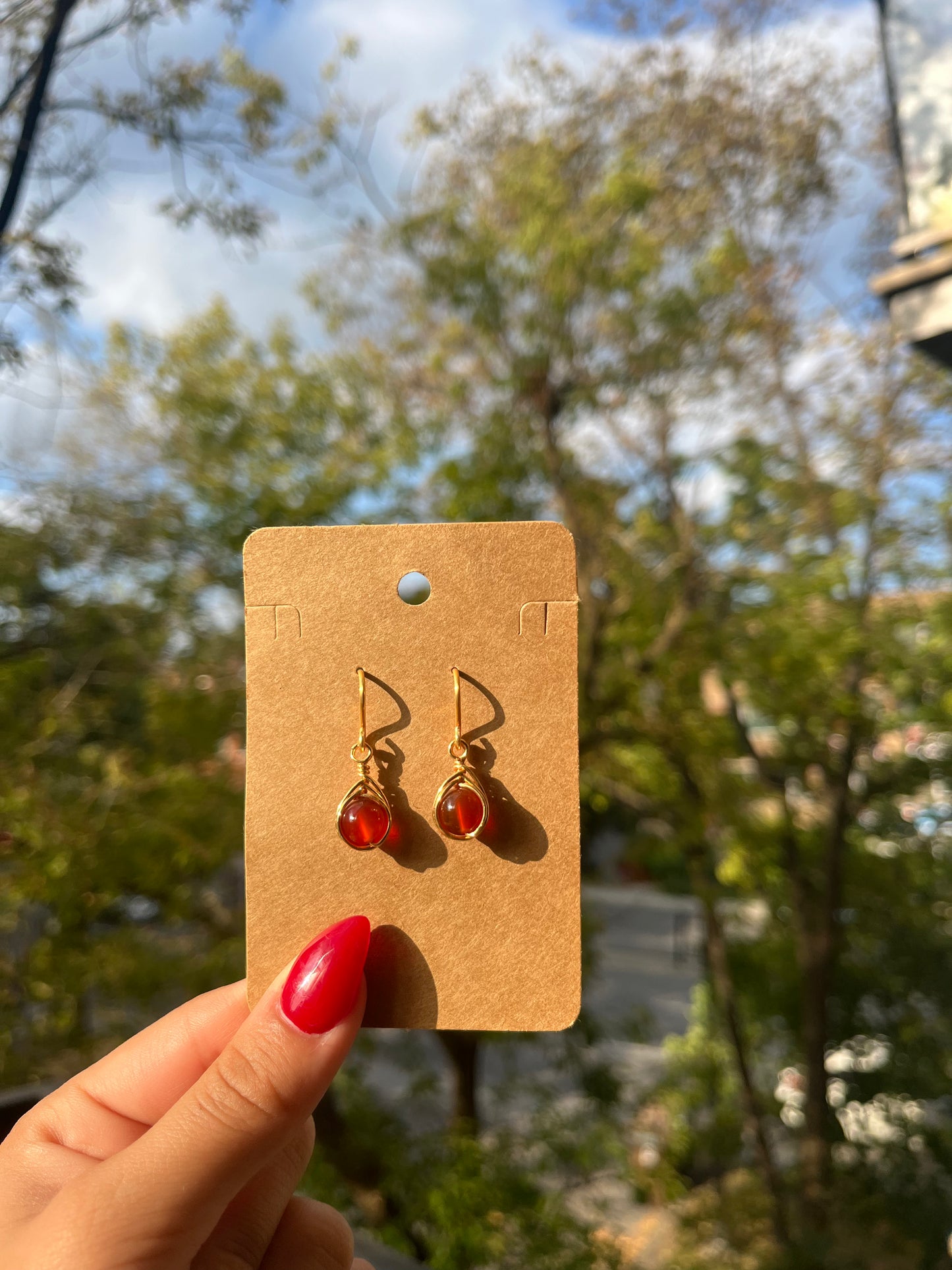 Carnelian Earrings