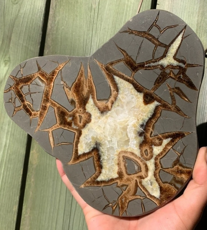 Septarian Nodule